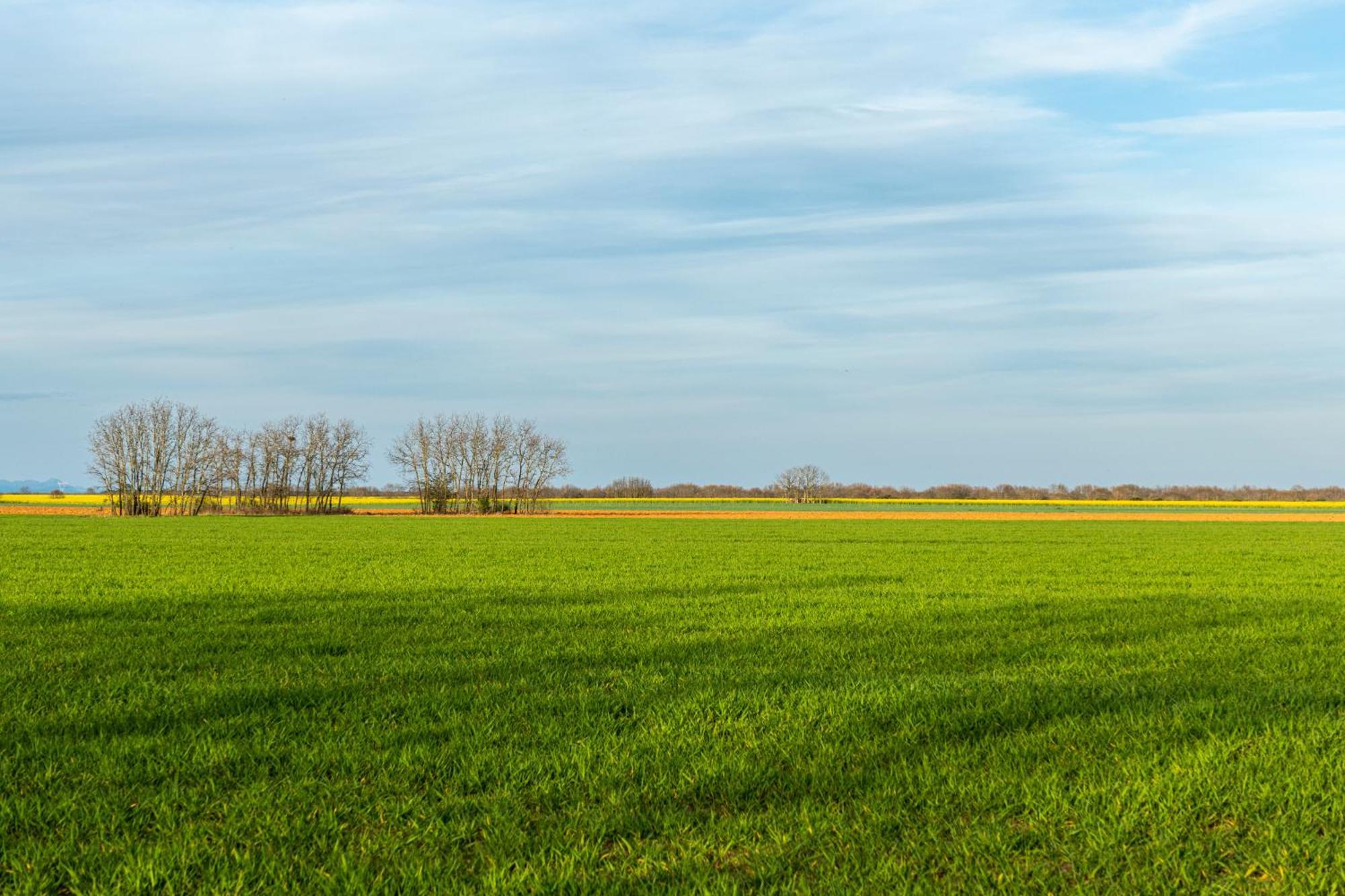 Descubre La Cepedana: Casa Rural Con Encanto En Cogorderos, A Solo 10 Km De Astorga Bagian luar foto